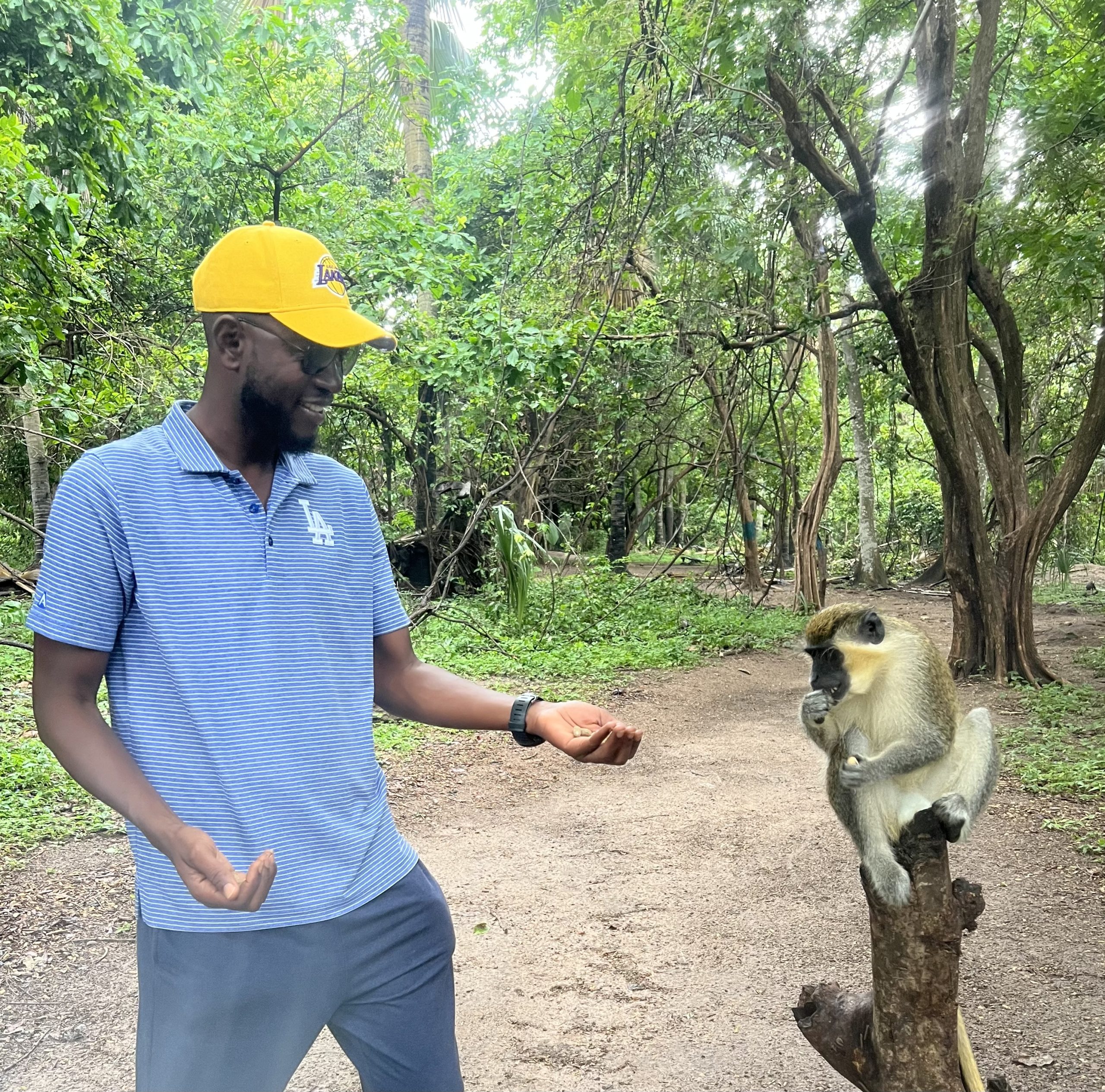 Visit Senegal Best Cities And Attractions With Agsil Senegal
