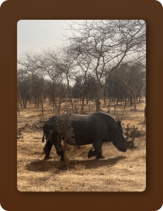 7-Day Senegal & Gambia Tour - Day 2