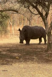 Bandia Reserve with Agsil Senegal